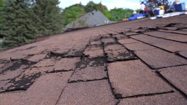 Best Roofing for New Construction  in Franklin, CA