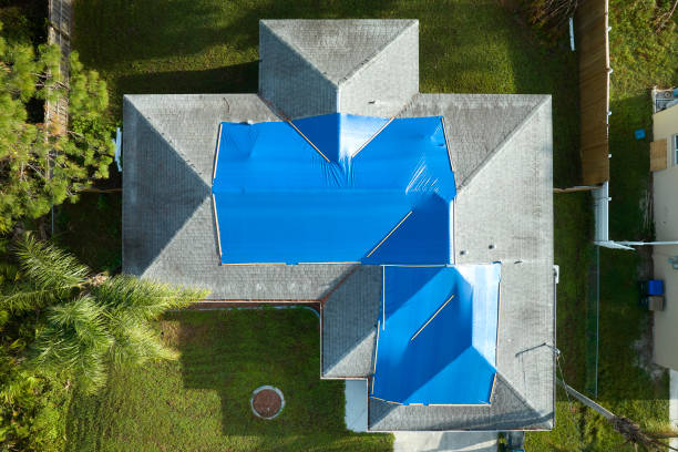 Best Roof Maintenance and Cleaning  in Franklin, CA